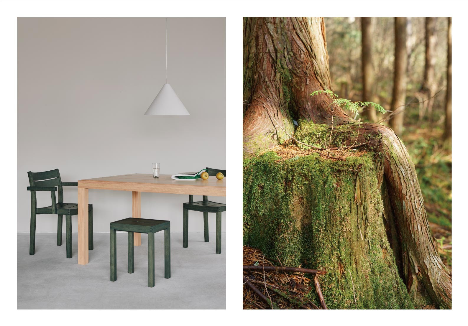 News】 ミラノデザインウィーク 2024 4つの展示を開催、2つの展示に